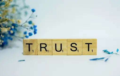 Holzklötze mit Buchstaben darauf, welche das Wort Trust bilden